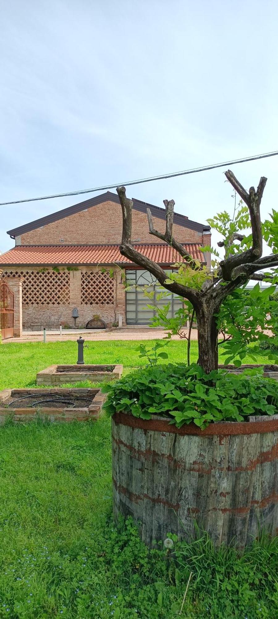 B&B Rocambola Nogara Exteriör bild